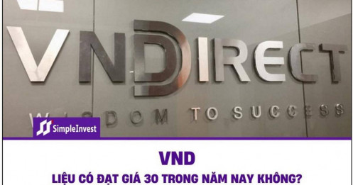 VND liệu có đạt giá 30 trong năm nay không?