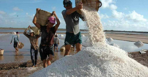 Đại biểu Nguyễn Anh Trí: Rất đau lòng khi Việt Nam phải chi tỉ USD nhập khẩu muối