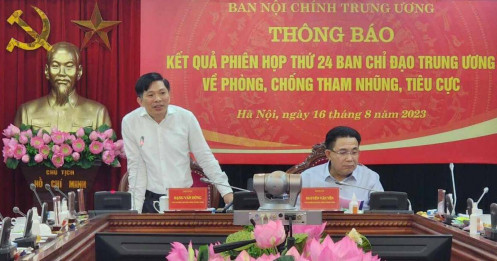 Thu hồi gần 2,7 triệu USD của Phan Sào Nam tẩu tán ở nước ngoài
