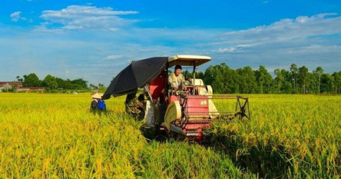 Chủ tịch và Tổng Giám đốc TAR xin từ nhiệm