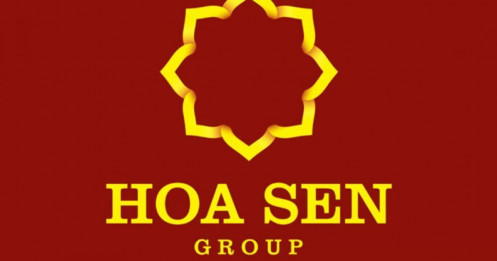 Hoa Sen group (HSG) và chiến lược đánh dài hạn