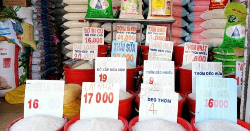 'Cơn sốt giá gạo' hiện nay khác gì năm 2008?