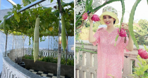 Ngắm vườn cây trái trong biệt tự triệu đô của sao Việt