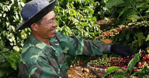 Giá tăng cao, xuất khẩu cà phê Việt Nam thu về 2,8 tỷ USD