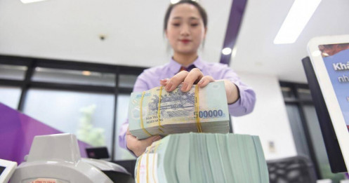Chưa thể coi là nền kinh tế Việt Nam đã có tiền rẻ?