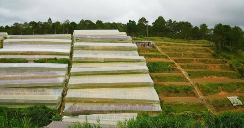 Lâm Đồng cho tách thửa diện tích đất từ 40 m2