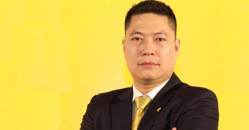 Em trai Bầu Thụy thôi làm Chủ tịch Bảo hiểm Xuân Thành