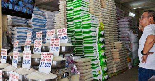 Giá gạo trở lại mức kỷ lục