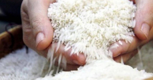 Gạo mang về 2,62 tỉ USD trong 7 tháng đầu năm