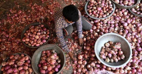 Sau gạo, cà chua, giá hành củ toàn cầu có thể tăng vì Ấn Độ