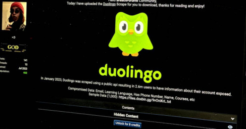 Dữ liệu 2,6 triệu người dùng DuoLingo bị hacker 'cho không'
