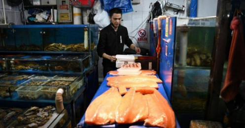 Trung Quốc cấm nhập khẩu hải sản Nhật Bản