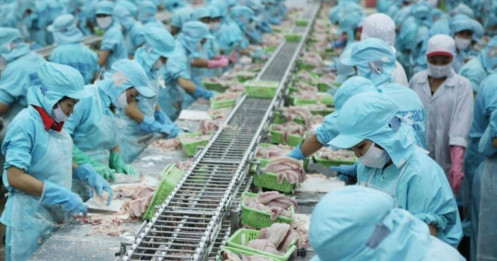 Trung Quốc cấm nhập hải sản Nhật Bản - Thủy sản Việt Nam hưởng lợi
