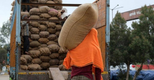 Ấn Độ siết thêm nguồn cung gạo toàn cầu