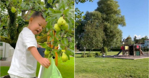 Nhà bố mẹ chồng Hà Hồ ở Thụy Điển: Rộng mênh mông như công viên!