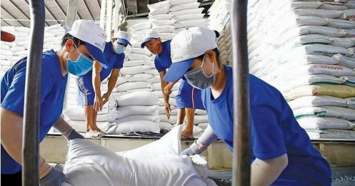 Giá gạo xuất khẩu Việt Nam lập đỉnh 15 năm, cao nhất thế giới