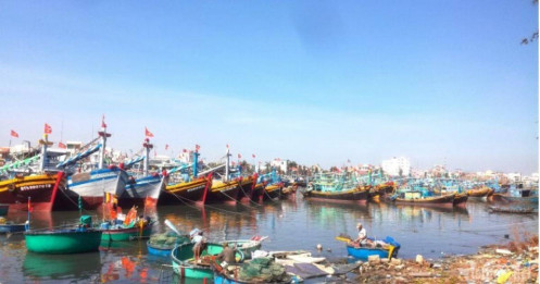 Hải sản Việt Nam sẽ hết đường sang EU nếu bị "thẻ đỏ" IUU