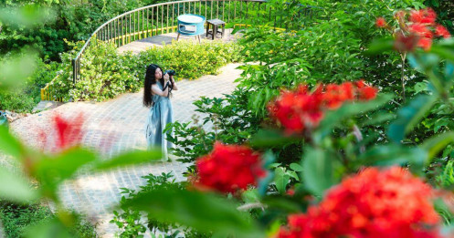 Mê mẩn khu vườn rộng 3.000m2, hoa nở rực rỡ ở ngoại thành Hà Nội
