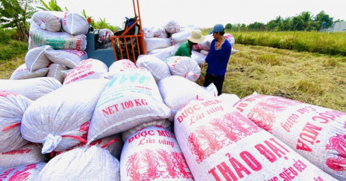 Việt Nam xuất nhiều gạo nhất thế giới