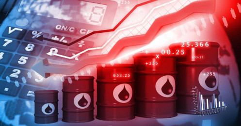 Bản tin hợp đồng WTI tháng 10 ngày 05/09/2023