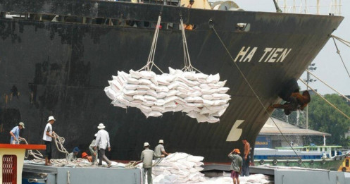 VFA nêu lý do doanh nghiệp thua lỗ khi giá gạo xuất khẩu tăng