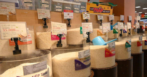 Giá lúa gạo trong nước lập đỉnh mới, xuất khẩu khó càng thêm khó