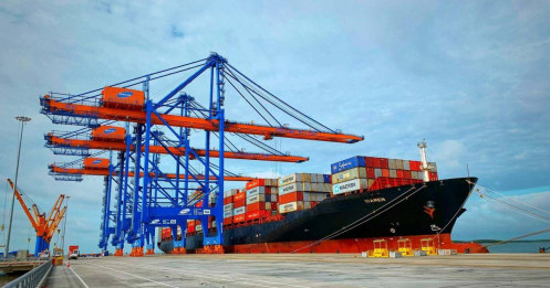 Cổ phiếu vận tải- cảng biển sẽ phục hồi mạnh nhất về cuối năm 2023?