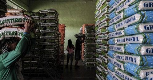 Philippines có thể sớm bỏ trần giá gạo