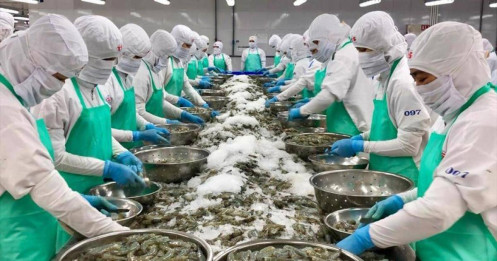 Kỳ vọng đột phá trong thương mại thủy sản Việt Nam - Hoa Kỳ
