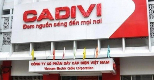 Cadivi (CAV) chốt ngày trả cổ tức tỷ lệ 40% bằng tiền