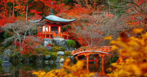 Mùa lá vàng, lá đỏ ở Nhật Bản năm nay bắt đầu từ khi nào?