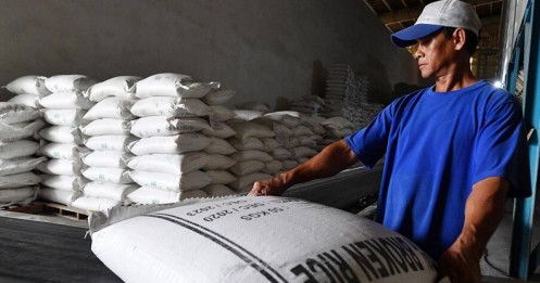 Giá gạo xuất khẩu tiếp tục xu hướng giảm, về sát mốc 600 USD/tấn