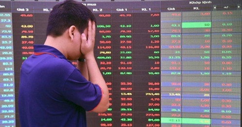 Lý do vì sao nhà đầu tư cá nhân thường thua lỗ trên thị trường chứng khoán?