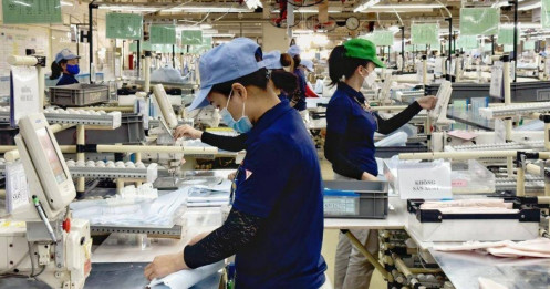 Quảng Ninh: Thêm hơn 2.000 doanh nghiệp được thành lập