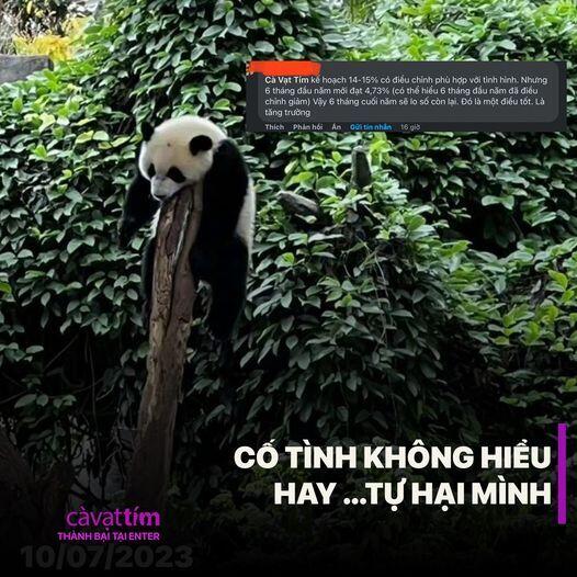 Cố tình không hiểu hay...tự hại mình