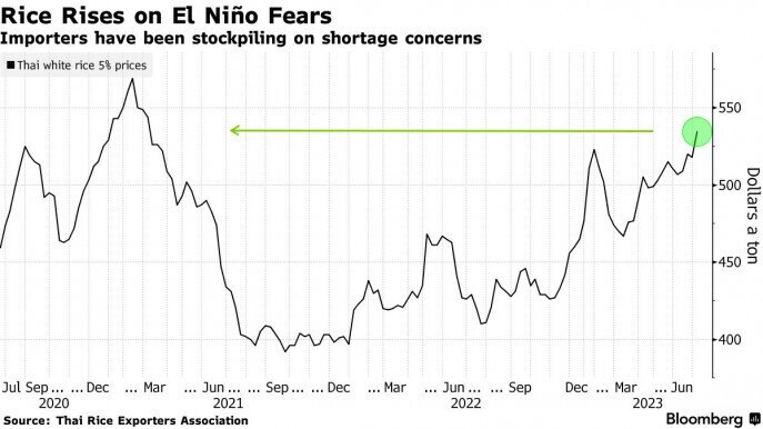Giá gạo tăng vọt lên mức cao nhất trong 2 năm khi El Nino đe dọa nguồn cung