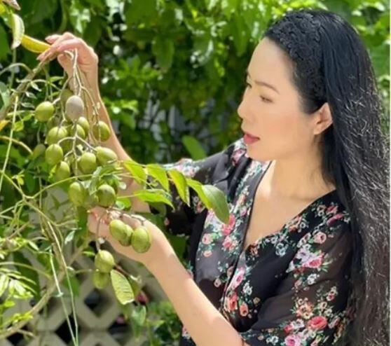 Thích mắt vườn cây trĩu quả trong biệt thự của NSƯT Trịnh Kim Chi