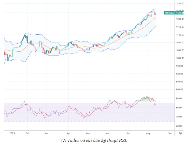 Xu thế dòng tiền: Bull-trap tạo đỉnh, hay nhịp lùi lấy đà?