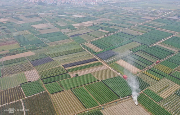 Bộ Tư pháp: Quy định đấu giá đất nông nghiệp của Hà Nội là 'trái luật'