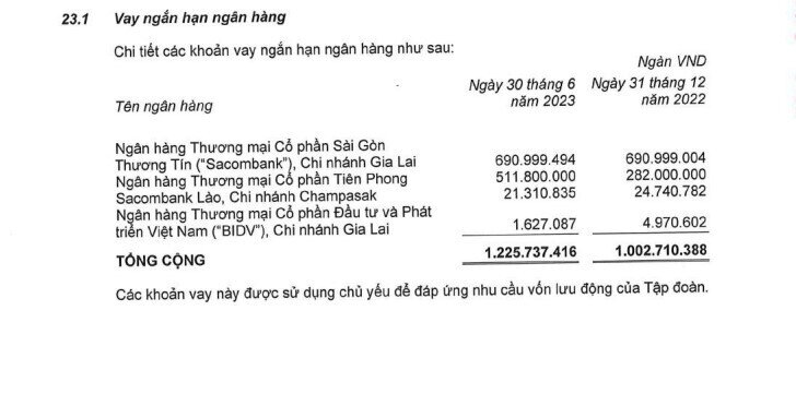 HAG chưa thanh toán khoản lãi vay hơn 2.600 tỷ và nợ vay hơn 400 tỷ với 3 ngân hàng