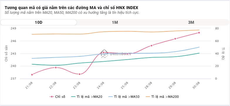 VN-Index 'thăng hoa', nhà đầu tư có 'thịt cá' trước kỳ nghỉ lễ 2/9