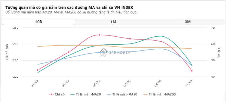 Thị trường 'thăng hoa', VN-Index tăng gần 22 điểm