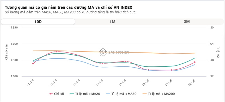 Sắc đỏ thống lĩnh toàn thị trường, VN-Index giảm hơn 13 điểm