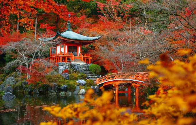 Mùa lá vàng, lá đỏ ở Nhật Bản năm nay bắt đầu từ khi nào?