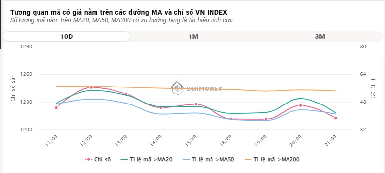 Dòng tiền bắt đáy cổ phiếu được 'kích hoạt', VN-Index 'bay' gần 20 điểm