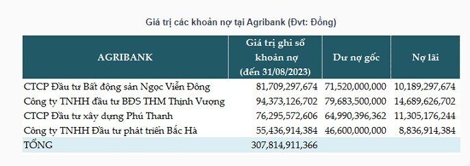 Agribank đấu giá các tài sản thế chấp liên quan đến Tân Hoàng Minh, tổng dư nợ gần 308 tỷ đồng