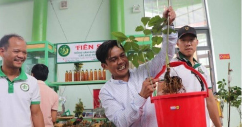 Quảng Nam yêu cầu công an điều tra việc mua bán sâm Ngọc Linh "dỏm"