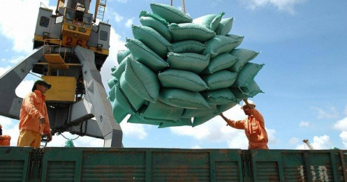 Dự thảo xuất khẩu gạo sẽ hạn chế doanh nghiệp nhỏ thâm nhập thị trường mới