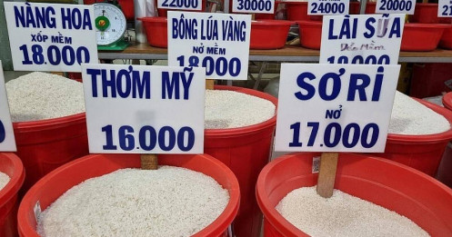 Bỏ trần giá nội địa: Philippines có tăng nhập khẩu gạo?