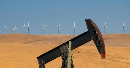 IEA và OPEC tranh cãi gay gắt về đỉnh nhu cầu dầu thô